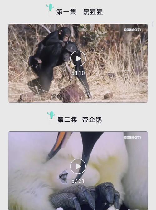西瓜影院网在线观看免费高清电影电视剧大全-最新热门影视剧推荐