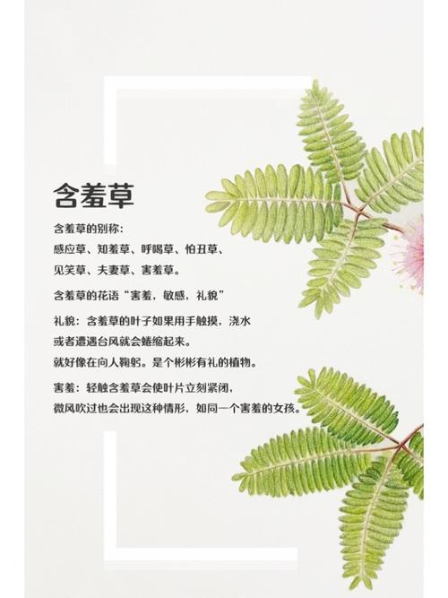 四虎免费影院最新在线观看 - 高清影视资源免费分享、热门电影追剧神器推荐
