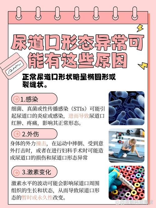 久久男人av天堂的相关介绍
