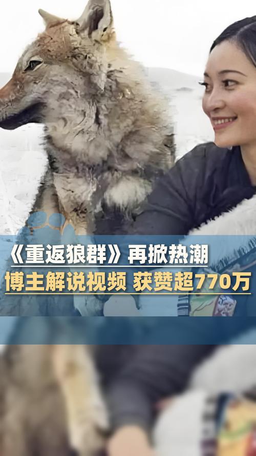黑米影院 - 最新热门电影电视剧在线观看，免费高清追剧神器推荐