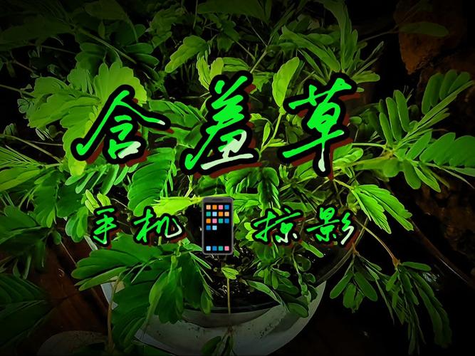 根据关键词“萱萱影院xuanxuan52”生成的SEO标题如下：

**萱萱影院xuanxuan52最新电影在线观看 - 高清无广告影院推荐 xuanxuan52追剧指南**