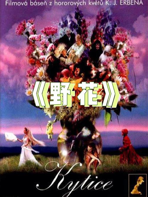 梦幻影院：沉浸式观影体验，在线观看最新大片与经典电影推荐