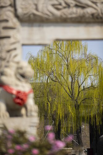 大胆人体艺术毛片的相关介绍