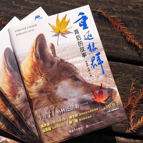 6080新视觉影院高清在线观看 - 最新电影、电视剧免费追剧平台推荐