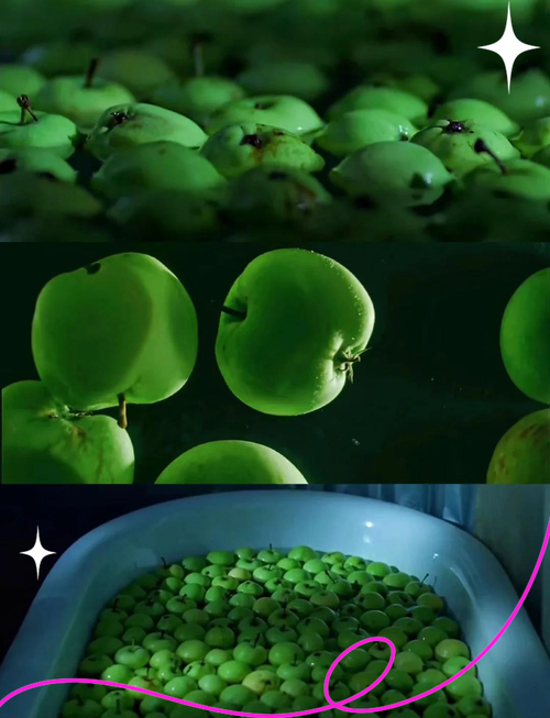 免费在线观看视频app下载 | 2025最新影视软件安装包 | 高清无广告追剧神器