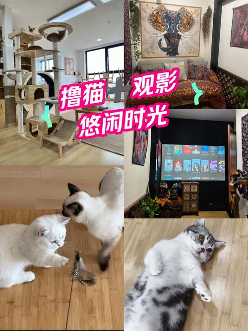 老湿机影院视费x看的相关介绍