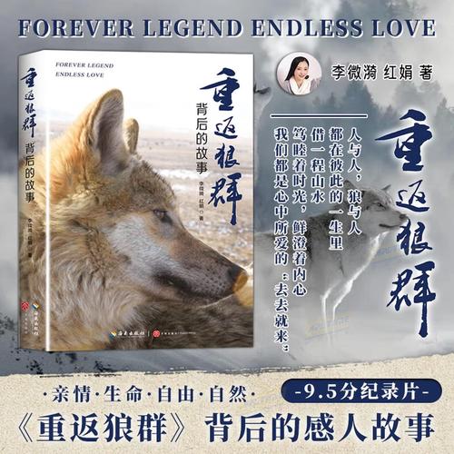 VIP影院在线观看:海量高清大片、独家热门剧集、无广告畅享追剧体验