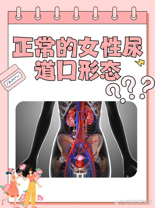 女性排黄色分泌物的相关介绍